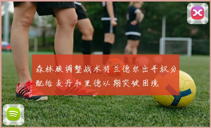 森林狼调整战术将兰德尔出手权分配给麦丹和里德以期突破困境