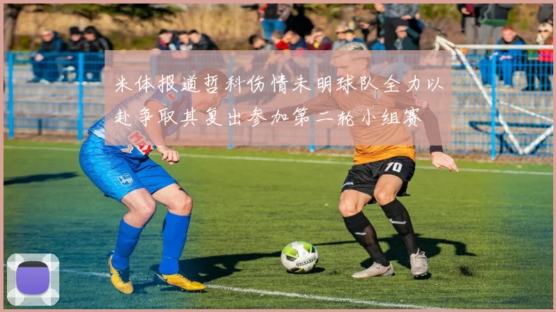 米体报道哲科伤情未明球队全力以赴争取其复出参加第二轮小组赛