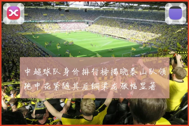 中超球队身价排行榜揭晓泰山队领跑申花紧随其后铜梁龙涨幅显著